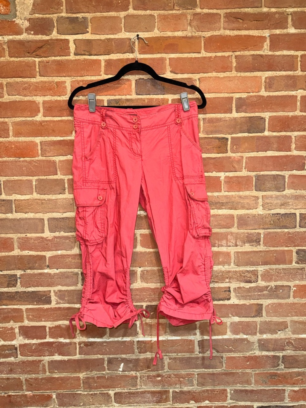 The Limited Coral Pink Casual Pants